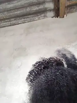 vaniyna online show from February 22, 2026, 10:58 am