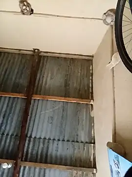 Blueberry23cupcake online show from February 3, 2026, 4:43 am