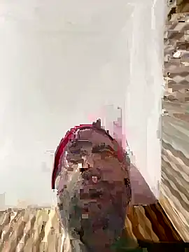 Snapshot of hardlysuck chatting on February 4, 2026, 2:39 am hardlysuck online show from February 4, 2026, 2:39 am