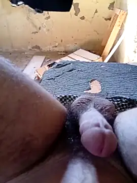 Elbayda online show from March 28, 2026, 2:05 pm