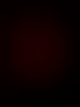 CattingSample online show from April 15, 2026, 4:47 pm