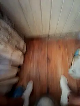 Snapshot of Franco10_- chatting on February 15, 2026, 9:11 pm Franco10 - online show from February 15, 2026, 9:11 pm