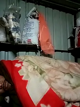 Snapshot of Krishna-10 chatting on February 5, 2026, 5:17 pm Krishna-10 online show from February 5, 2026, 5:17 pm