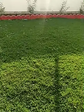 Snapshot of Romantic_rakesh_12 chatting on February 7, 2026, 11:14 am Romantic rakesh 12 online show from February 7, 2026, 11:14 am