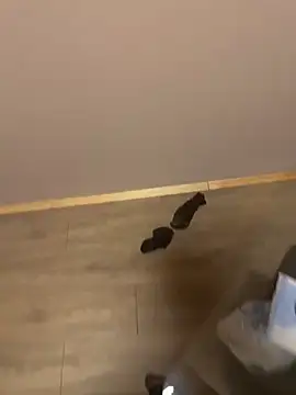 kin-y7 online show from February 7, 2026, 3:43 am