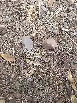 Cute Boy 4 online show from March 19, 2026, 7:45 am