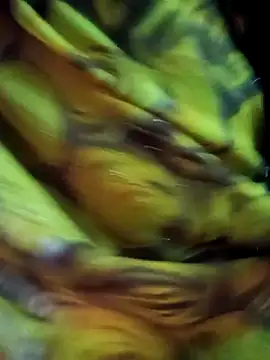 Muskan44s online show from February 17, 2026, 12:23 pm