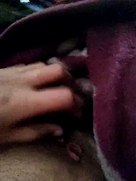 crazyxy12 online show from February 12, 2026, 5:02 am