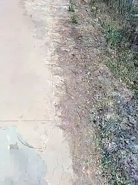 Snapshot of janu_9900 chatting on February 18, 2026, 6:09 am janu 9900 online show from February 18, 2026, 6:09 am