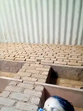 Lucky couple-1 online show from April 19, 2026, 8:24 am