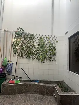 NathaliaMayson online show from April 14, 2026, 12:33 pm