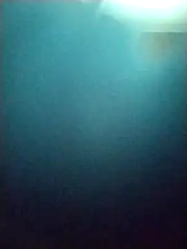Snapshot of cynliu chatting on April 26, 2026, 2:42 am cynliu online show from April 26, 2026, 2:42 am