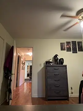 FireAfterDark online show from April 15, 2026, 12:17 am