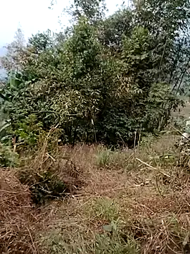 Snapshot of sushi-asa chatting on February 24, 2026, 1:47 am sushi-asa online show from February 24, 2026, 1:47 am