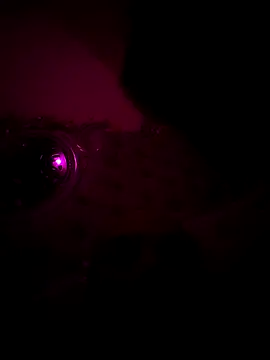 Raj teluguboy online show from March 6, 2026, 7:43 pm