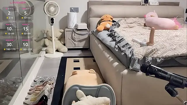 yyds-8 online show from February 12, 2026, 3:56 am