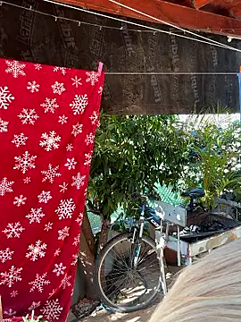 Snapshot of Ellie-rosee chatting on March 2, 2026, 7:09 am Ellie-rosee online show from March 2, 2026, 7:09 am