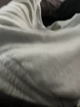 bugballs1 online show from February 20, 2026, 11:38 pm