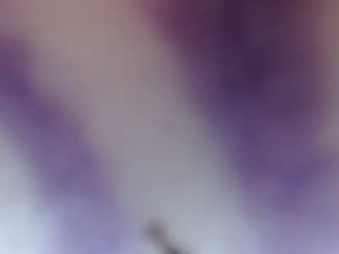 Snapshot of ELIZA_01 chatting on February 8, 2026, 4:38 am ELIZA 01 online show from February 8, 2026, 4:38 am