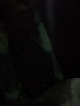 notyourtypicalAnna online show from February 16, 2026, 12:18 am