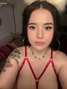 Venustrapp online show from February 14, 2026, 2:47 pm