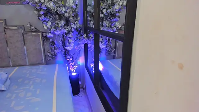 Nalapalmer online show from February 7, 2026, 7:39 pm