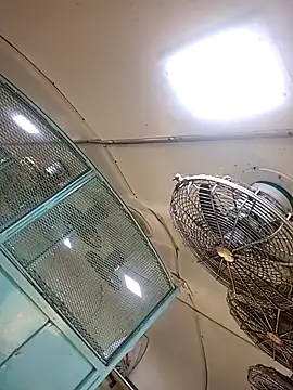 Talkwithsex online show from February 4, 2026, 2:39 am