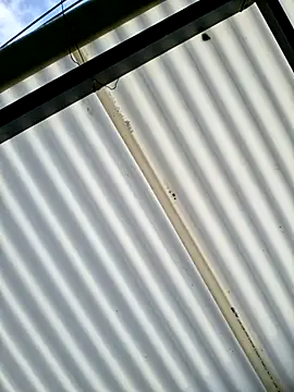 Pau 2007 online show from February 9, 2026, 1:04 pm