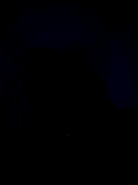 Telugucouple69 online show from February 15, 2026, 10:17 pm