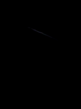 LovedDick online show from May 19, 2026, 8:48 pm