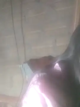 Snapshot of Yang-my- chatting on February 13, 2026, 3:08 pm Yang-my- online show from February 13, 2026, 3:08 pm