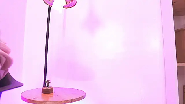 Shopie Colucci online show from April 13, 2026, 4:01 pm