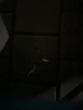 Darkhotcouple online show from February 14, 2026, 9:22 pm