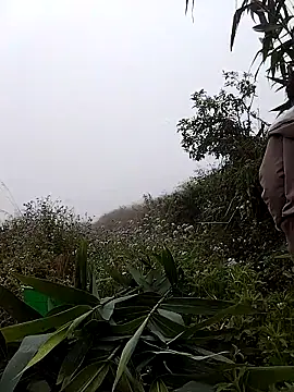 lovely-742 online show from March 7, 2026, 1:57 am