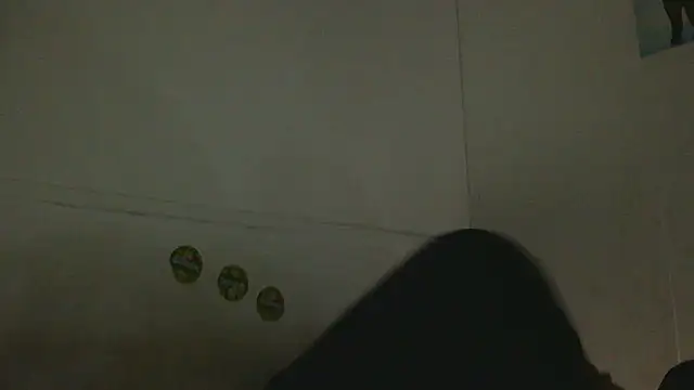 Snapshot of pbilip7787 chatting on February 25, 2026, 9:46 pm pbilip7787 online show from February 25, 2026, 9:46 pm