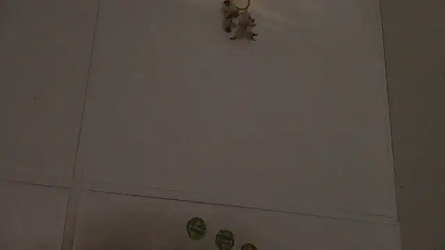 Snapshot of pbilip7787 chatting on February 28, 2026, 10:00 pm pbilip7787 online show from February 28, 2026, 10:00 pm