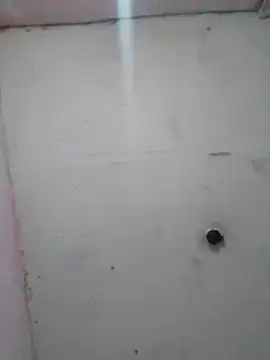 Snapshot of cobrosdepagos chatting on February 19, 2026, 1:56 am cobrosdepagos online show from February 19, 2026, 1:56 am