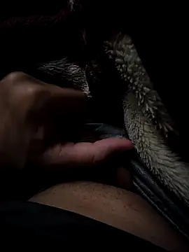 Snapshot of MoMnsi chatting on February 25, 2026, 6:01 am MoMnsi online show from February 25, 2026, 6:01 am