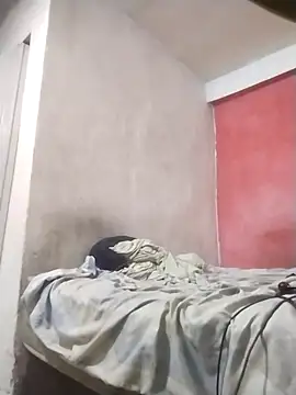 Arteiroelo online show from April 11, 2026, 10:41 am