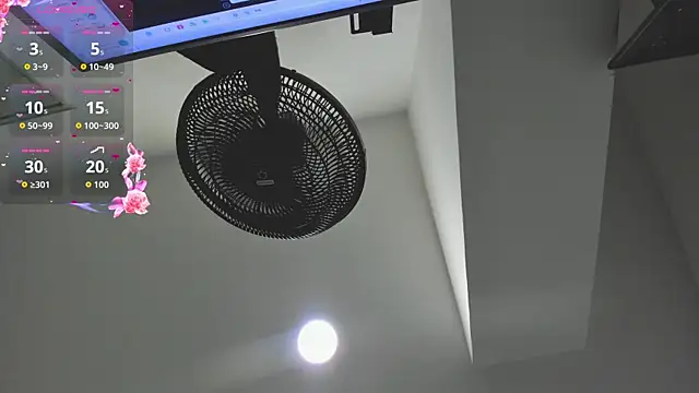 agartha velvet online show from March 30, 2026, 3:40 am