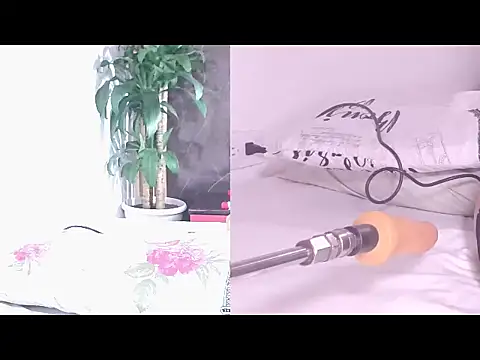 Carol Swet online show from April 17, 2026, 11:02 am