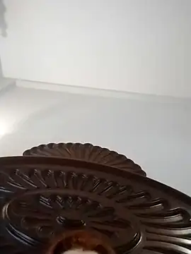 fegostosa12 online show from March 11, 2026, 9:37 am