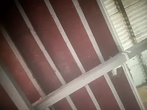 sex baby26 online show from February 21, 2026, 6:47 am