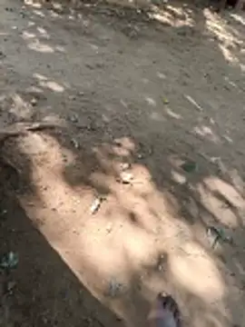 Snapshot of Locky_kamani chatting on February 16, 2026, 8:21 am Locky kamani online show from February 16, 2026, 8:21 am