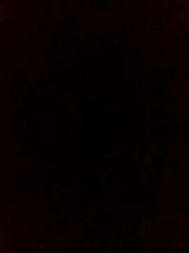 Snapshot of falcon2589 chatting on February 25, 2026, 1:04 am falcon2589 online show from February 25, 2026, 1:04 am