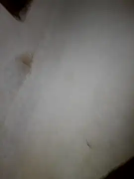 Snapshot of iwantolderwmn chatting on February 19, 2026, 1:45 am iwantolderwmn online show from February 19, 2026, 1:45 am