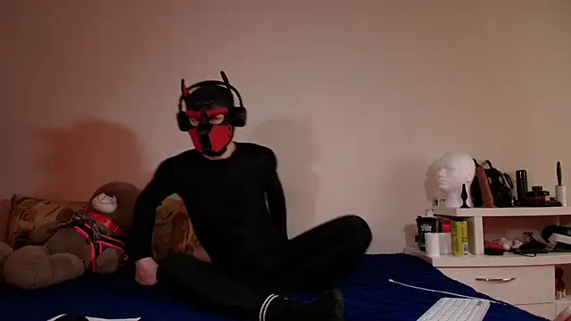 K9 GoodBoy online show from May 16, 2026, 11:42 am