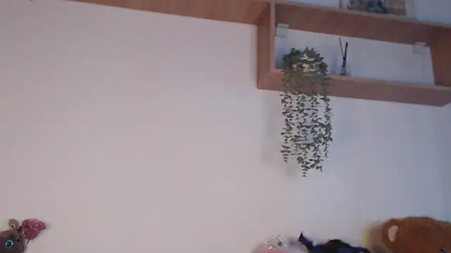 SPICYKC online show from April 7, 2026, 3:01 pm