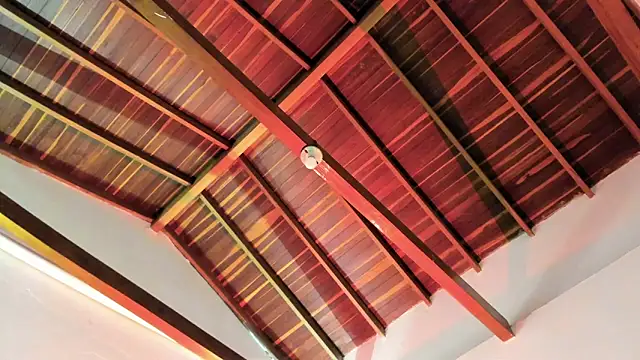 TonyPetrovjs online show from April 3, 2026, 6:00 am