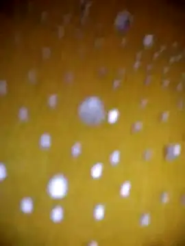 Snapshot of Vycute9900 chatting on March 1, 2026, 1:02 pm Vycute9900 online show from March 1, 2026, 1:02 pm